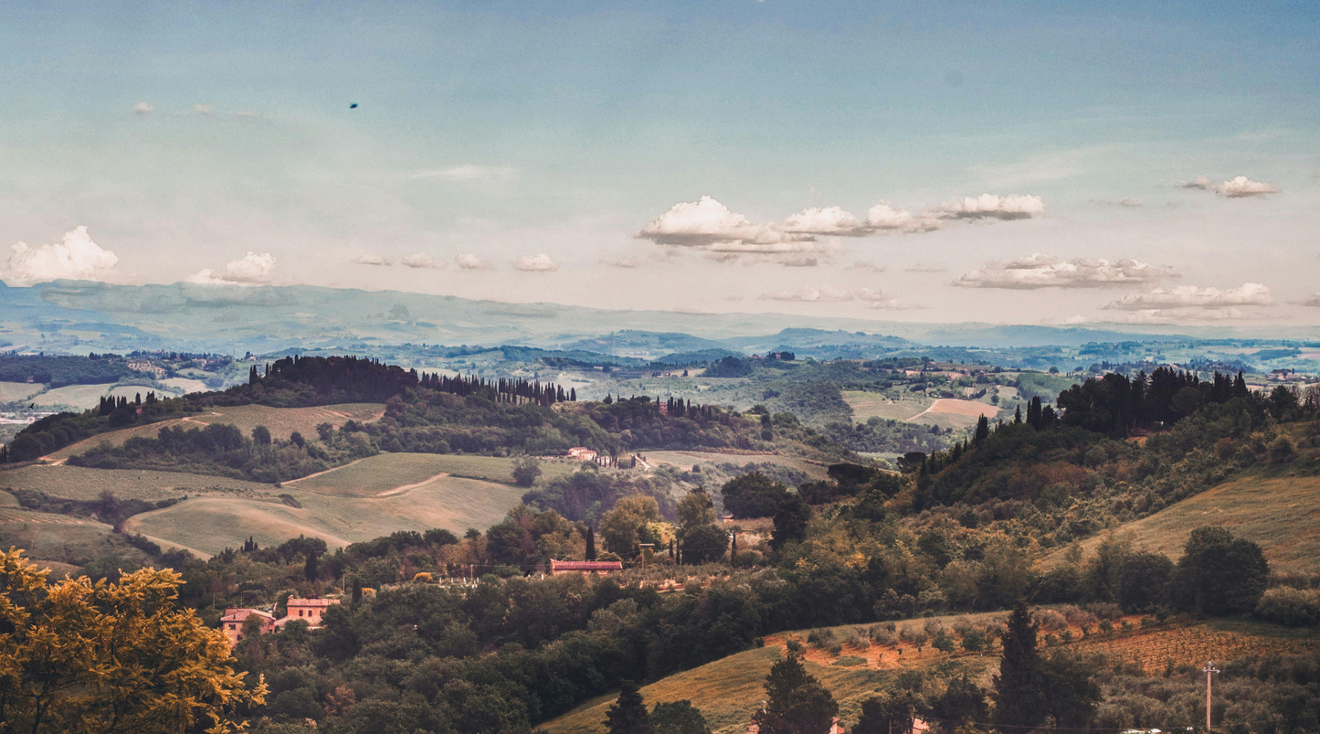 Zuppa Toscana Soup Recipe