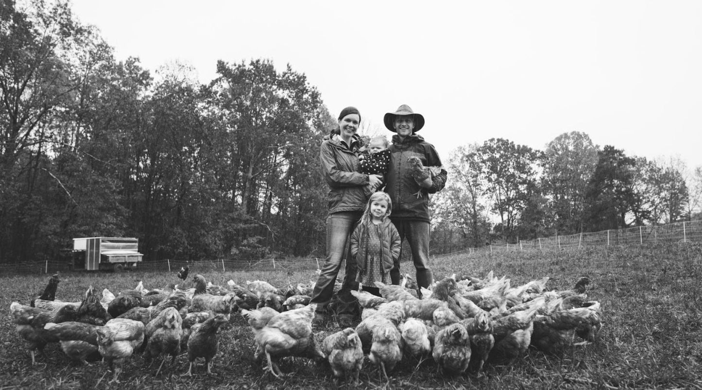 EdenThistle: The Origin of Our Dream